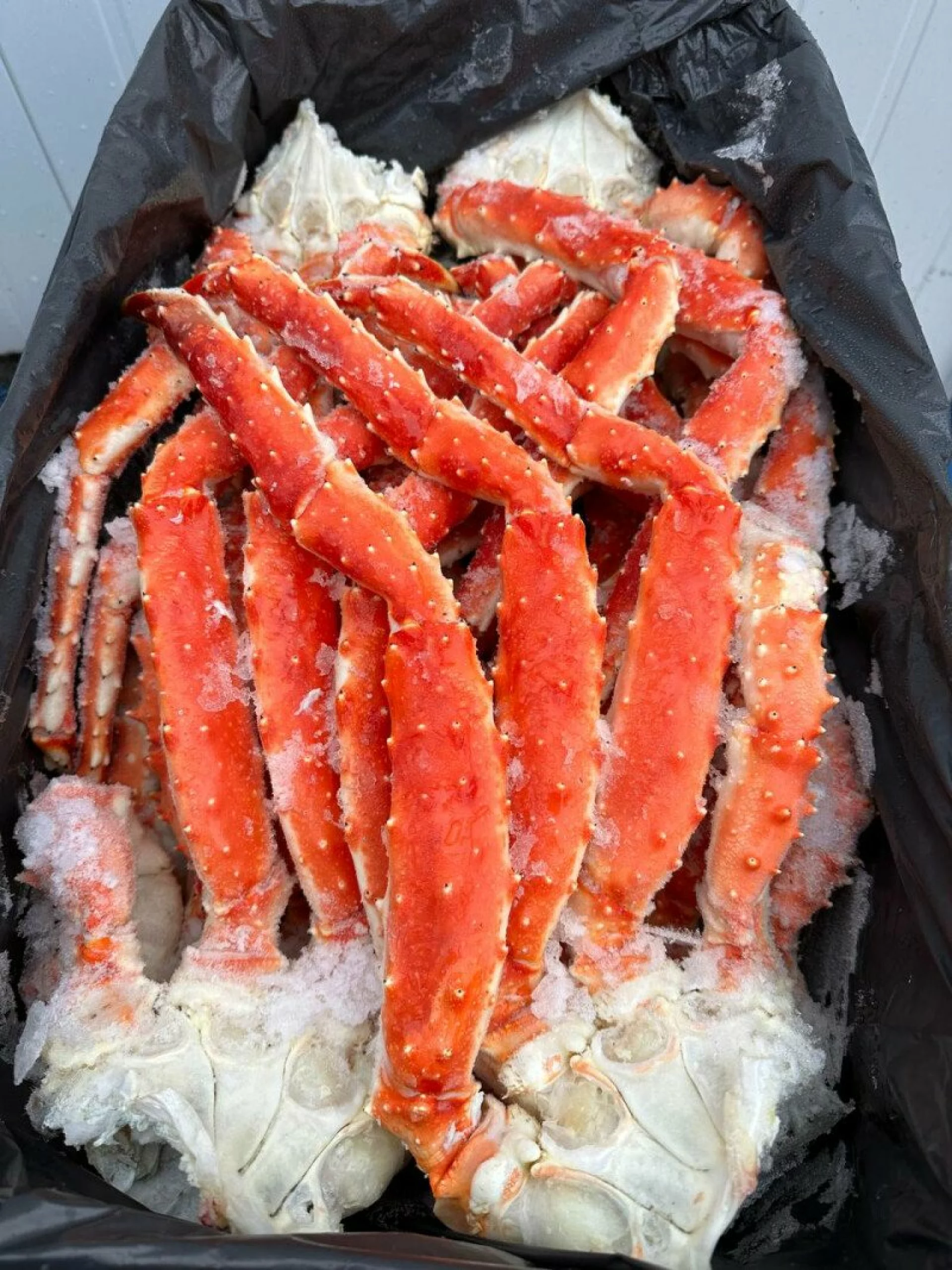 Камчатский краб крупный
