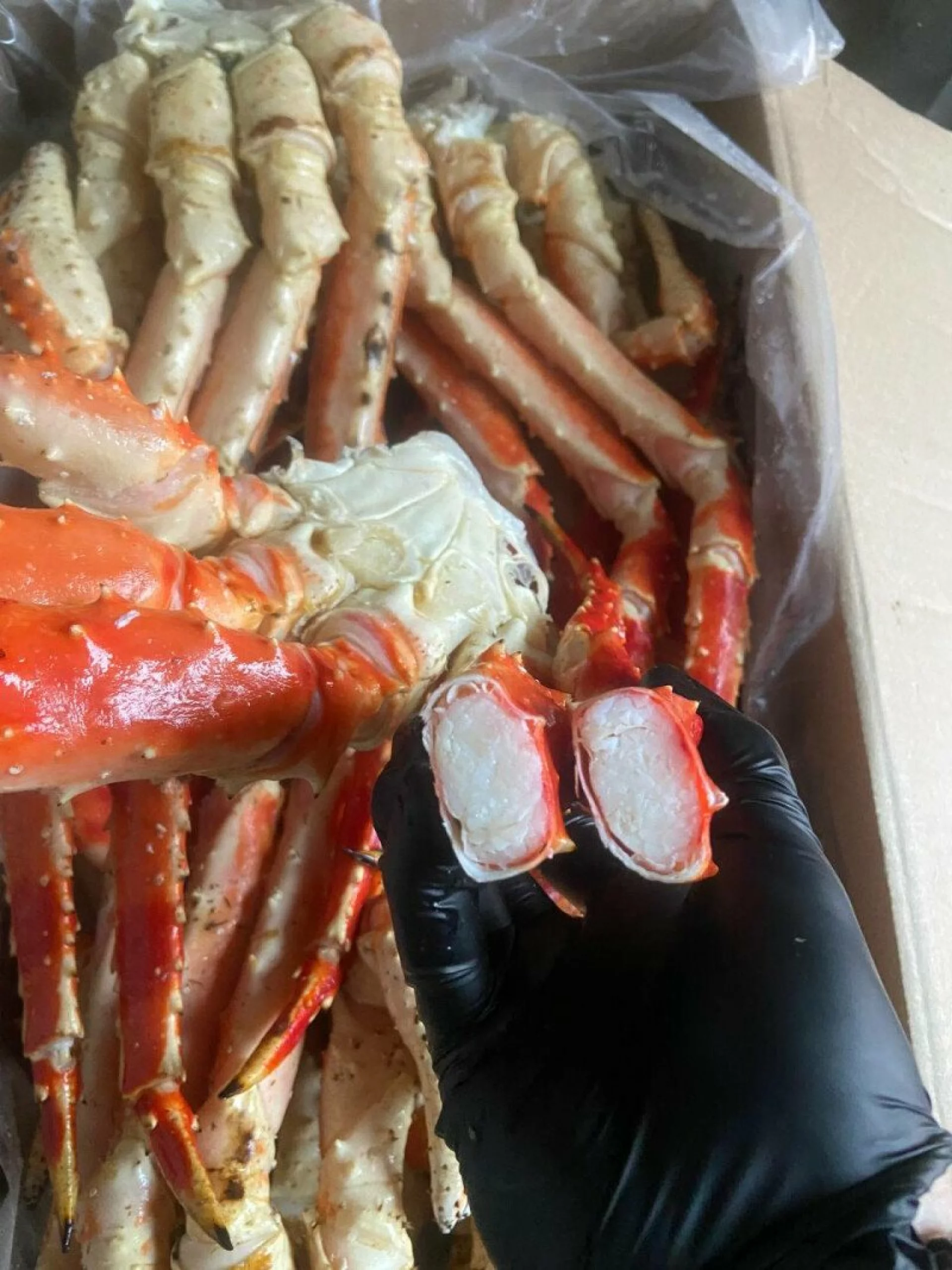 Камчатский краб крупный